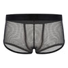 Men's Underwear Mesh Breathable Boxers Transparent