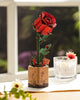 ROBOTIME 3D Puzzle Flowers Wooden Model Kits For Adults To Build, Artificial Flowers For Decoration, Home Decor Accessories Living Room, Gifts For Women On Valentine's Day, TW042