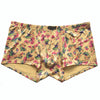 Gingko Leaf Printing Large Size Men's Boxers