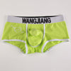 Men's Underwear Boxers Low Waist Cotton U Convex Trunk Fashion Sexy Men's Boxers